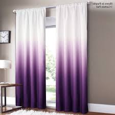 purple kitchen curtains photo 9