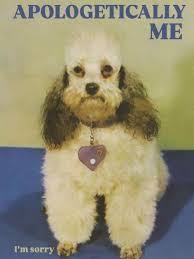 images?q=tbn:ANd9GcTOEHiTMhYHIgDMKtZZPq1