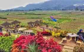 Warung matus bangkalan ~ mau ngopi cozy? Ikan Bakar Warung Matus Www Ekokepet Com