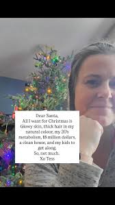 I love Christmas so much. And even all the extra stress that comes with it.  I've learned that no one cares how clean my house is, if the food is