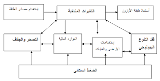Http Www Aun Edu Eg Arabic Society Magazine Arabic Res January 2015 Res2 January 2015 Pdf