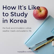 How It S Like To Study In South Korea Wep S Gallery In 2020 Korea University South Korea Korea
