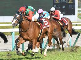 新着順 売上順 おすすめ順 マイリスト登録順 レビュー評価順 人気順 価格順. Jbw8cawzlzahgm