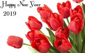 Happy New Year 2019 Images With Flowers Happynewyear2019greetings Happynewyear2019wishes Happynewyear2019wallpaper Tulip Bulbs Planting Bulbs Garden Bulbs