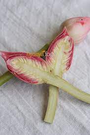404 Not Found Ginger Flower Edible Flowers Ginger Plant