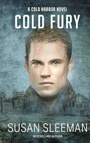 Cold Fury by Susan Sleeman