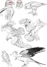 Tips And Techniques For Pencil Drawing Pencildrawing Bird Sketch Bird Drawings Animal Sketches