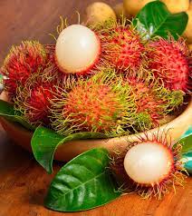 But while rambutans may seem exotic to westerners, they're a common snack. High Quality Tropical Fruits From Vietnam Fresh Rambutan Fruit Sona International Ecplaza Net