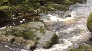 The bolton strid is narrow and deep, a powerful wedge of water racing through a crevasse riddled with underwater caves and overhangs.credit.andy haslam for the new york times. The Most Deadly Stretch Of Water In The World Why This Burbling English Creek Has A 100 Per Cent Fatality Rate Stuff Co Nz