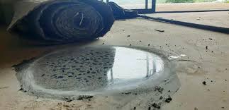 Properly maintaining floor joints prolongs a floors service life, increases productivity, creates a safer work environment and makes cleaning easier. Polished Concrete Floor Geelong Pyrafloor