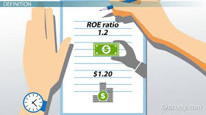 Entrepreneurs raise million and even billion of dollars in funding. How To Calculate The Return On Equity Definition Formula Example Video Lesson Transcript Study Com