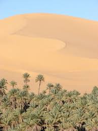 Trésor biologique, mais aussi patrimonial et architectural, avec ses. Taghit Oasis And The Search For New Superlatives Elsewhere