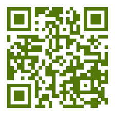 Payment QR