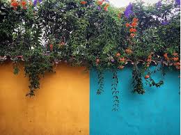 Maybe you would like to learn more about one of these? Paint Color Codes For That Perfect Yellow Wall