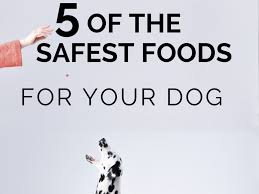 Sometimes accidents happen, and companies make mistakes. Dilated Cardiomyopathy 5 Safe Dog Foods That Have Never Been Recalled Pethelpful By Fellow Animal Lovers And Experts