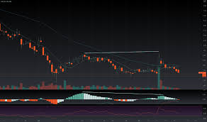 Clov has been hit hard with the false short seller report, and couple that with the market conditions recently this stock is way undervalued. Hymwzrbrnygntm