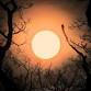 Moonlit WildSpa — Westerlands event image