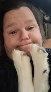 Introduction from a dog owner