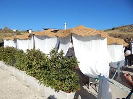Maybe you would like to learn more about one of these? Ustica Pictures Traveler Photos Of Ustica Islands Of Sicily Tripadvisor