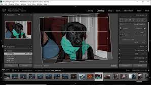 Ok, this is actually a tip and a half, because it start with a really handy keyboard shortcut, then we get to the auto straighten your image. Straighten A Photo In Lightroom Classic Cc Instructions