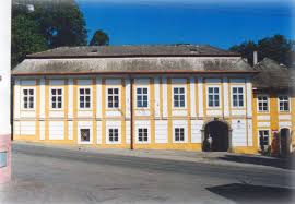 Image result for puklice