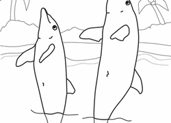 Download free coloring pages for kids. Dolphin Coloring Pages Printables Education Com