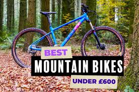 A few years later, in the 1980s, the brand began producing mountain bikes in addition to its cruisers. The Best Value Hardtail Mountain Bikes You Can Buy For Under 600 Off Road Cc