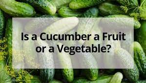Is A Cucumber A Fruit Or A Vegetable