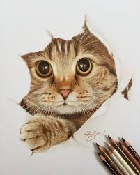 Realistic animal sketches as a part of inspiration for the beginner artist in this arena. Hyper Realistic Animal Drawings Realistic Pencil Cat Drawing Novocom Top