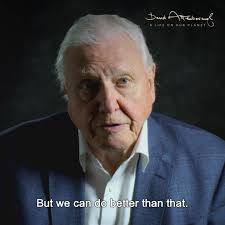 Forests are magical places. They are among the most biodiverse places