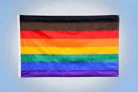 Black And Brown Unity Flag Philadelphia S Rainbow Pride Flag 3 X 5 Flag Black Brown Red Orange Yellow Green Royal Blue Purple Cust Rainbow Flag Pride Rainbow Pride Pride Flags