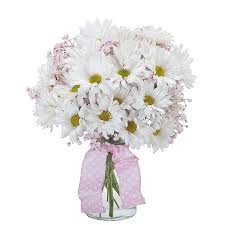 Add some freshness in your occasion using online flowers bouquet delivery in jersey. Jersey City Brennans Flower Shop New Jersey Flowers Jersey City New Jersey Florist Send Flowers Online