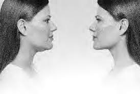 ARNOLD'S PEST CONTROL