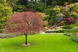 Scenes From Butchart Gardens In 2020 Botanical Gardens Near Me Butchart Gardens Buchart Gardens