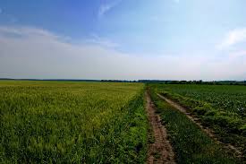 Il paesaggio ucraino consiste prevalentemente di fertili pianure o steppe attraversate da diversi l'ucraina è uno stato dell'europa orientale. Ucraina Natura Estate Foto Gratis Su Pixabay