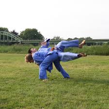 Summer 1990 the vovinam masters met. Home Vovinam Academy