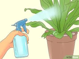 Many bugs like to hide on the underside of leaves, and powdery mildew can grow there too. 7 Ways To Make Organic Pesticide Wikihow