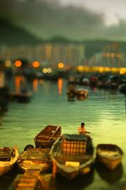 Directed by geoffrey orthwein, andrew sullivan. Catch Of The Day Hong Kong Travel Beautiful Places Bokeh Photography