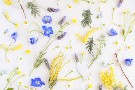 Here you can find the best floral desktop wallpapers uploaded by our community. Digital Blooms May 2018 Free Desktop Wallpapers Justinecelina