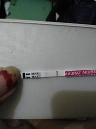 We did not find results for: Kenapa Garis Kedua Di Ujung Tespek Apa Itu Positif Halaman 2 Ibuhamil Com