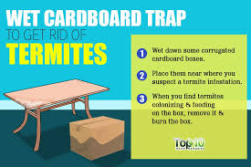 How To Get Rid Of Termites Top 10 Home Remedies Termite Control Termites Termite Treatment Cost