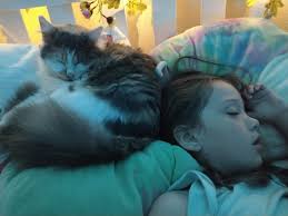 Adorable princess peach pics and video