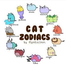Zodiac Signs Pusheen Zodiacs Zodiac Signs Funny Zodiac Anime Zodiac