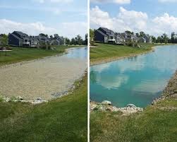The gray or greenish powder is the anhydrous form of copper sulfate. Crystal Blue Copper Sulfate Crystals Pond Treatment 222 At Tractor Supply Co