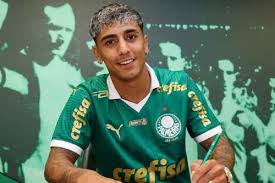 Facundo Torres Brilha! Palmeiras Tem Novo Ídolo Uruguaio? - Imagen principal del artículo
