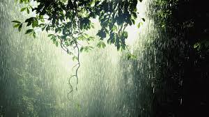 Check spelling or type a new query. Animated Rain Wallpapers Top Free Animated Rain Backgrounds Wallpaperaccess