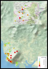 Image result for Landolphia bruneelii