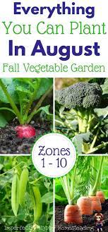 Planting vegetable seeds or transplants at the correct time is determined by the soil temperature required for seeds to germinate and the temperature tolerance of the plants. Everything You Can Plant In August For A Fall Garden Zones 1 10 Gardening Fall Garden Vegetables Planting In August Fall Vegetables