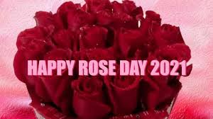 Best pink roses wallpapers we have about (210) wallpapers in (1/7) pages. Bogqmzifjkalem