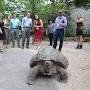 Profile Picture of Donor Clubs | Cincinnati Zoo (@cincinnatizoo.org) on Google